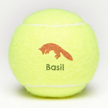 Cazando la pelota de tenis de zorro