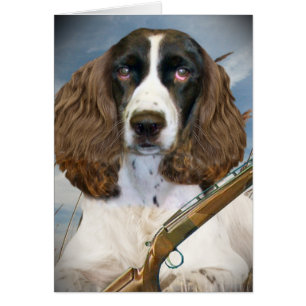 Cazas del perro de aguas de saltador inglés