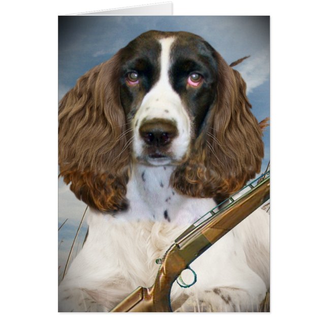 Cazas del perro de aguas de saltador inglés (Frente)