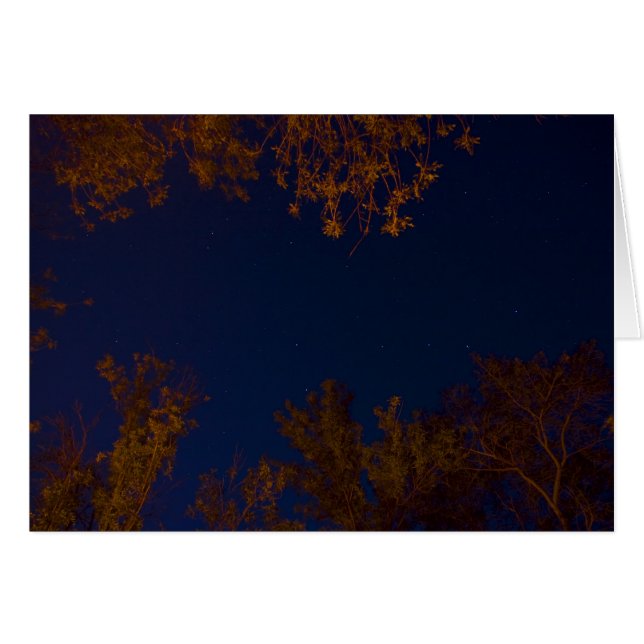 Cazo grande (Anverso (Horizontal))