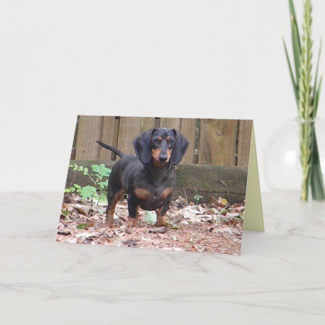 Cc - "le faltamos" tarjeta del dachshund (Anverso)