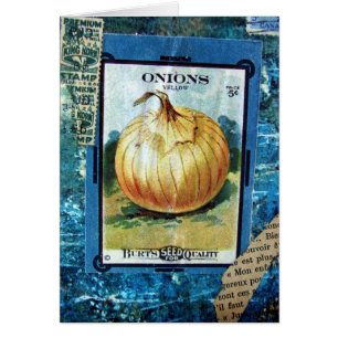 Cebollas collage de cinco centavos