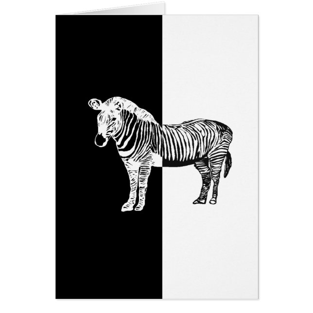 Cebra blanca y negra (Frente)