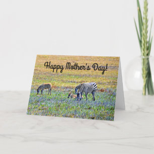 Cebra con tarjeta del día de la madre de los bebés