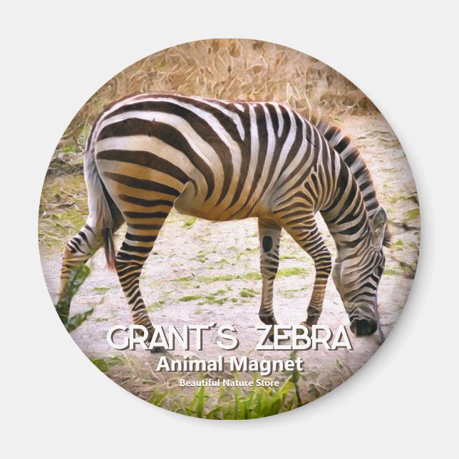 Cebra de Grant imán (Frente)
