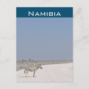 Cebra, Namibia Tarjeta Postal