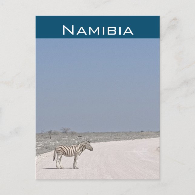 Cebra, Namibia Tarjeta Postal (Anverso)