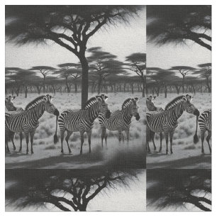 Cebras Negras Y Blancas En África, Tela