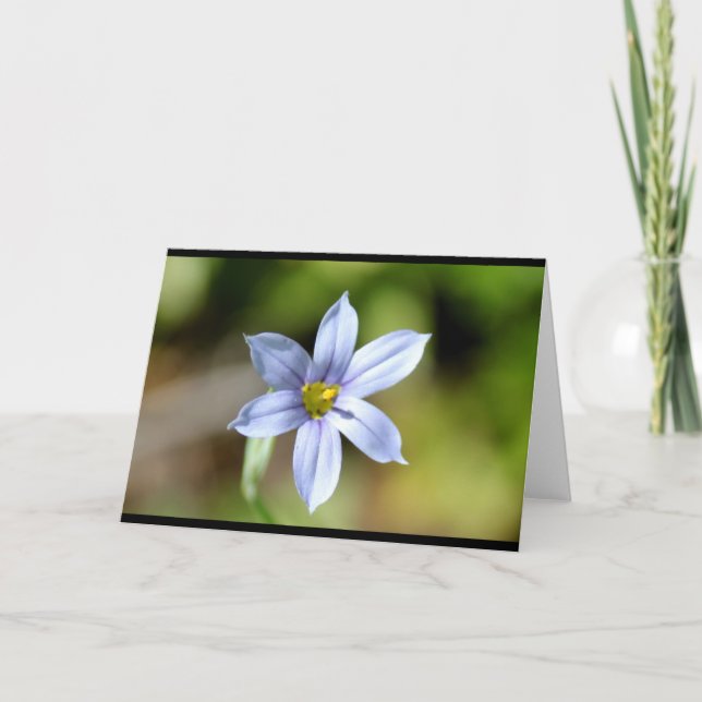 CEDA - FLOR - TARJETA EN BLANCO (Anverso)