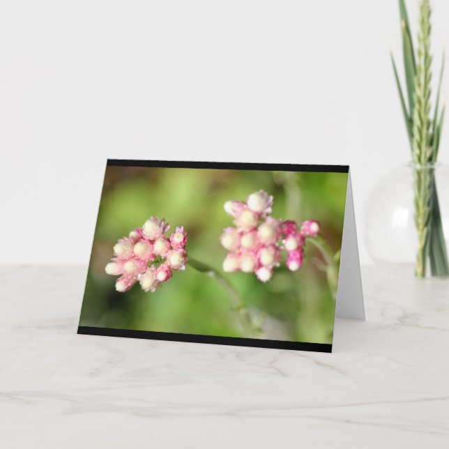 CEDA - FLOR - TARJETA EN BLANCO (Anverso)