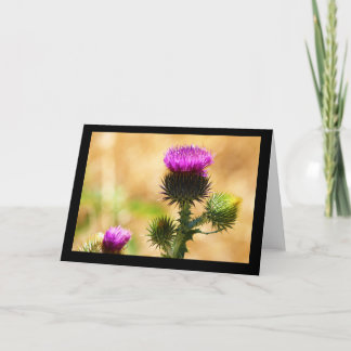 CEDA - IDAHO THISSLE - TARJETA EN BLANCO