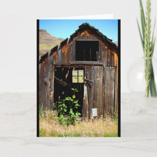 CEDA - VERTIENTE - TARJETA EN BLANCO