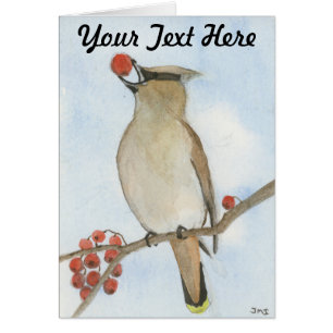 Cedar Waxwing