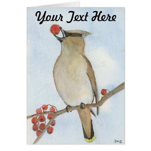 Cedar Waxwing (Frente)