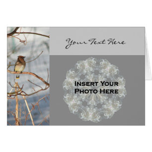 Cedar Waxwing Bird En Winter Photo Card