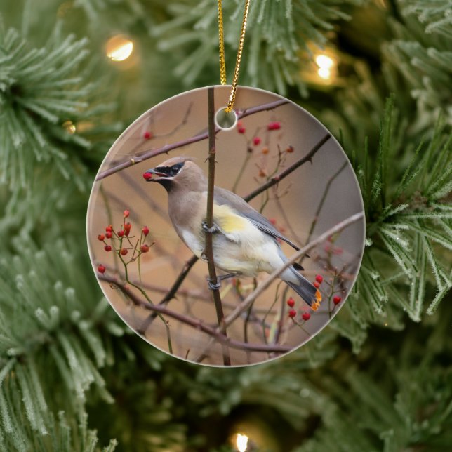 Cedar Waxwing | Ornamento de Navidad (Árbol)
