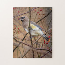 Cedar Waxwing | Rompecabezas de Jigsaw