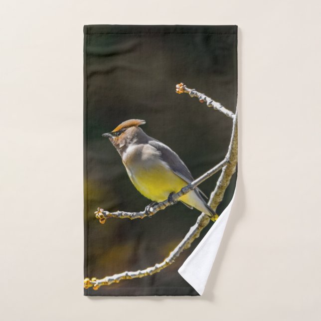 Cedar Waxwing Songbird Foto original de ave silves (Toalla de mano)