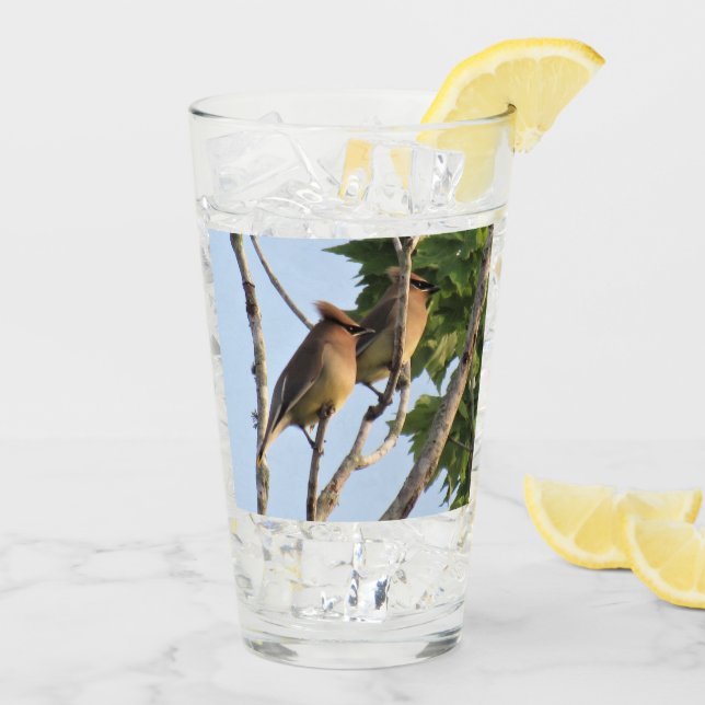 Cedar Waxwings - Backyard Bird Series - Glass (Reverso (hielo))