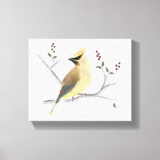 Cedro de color de agua Waxwing Lienzo envuelto