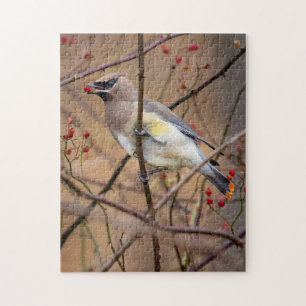 Cedro de lavado Puzzle Jigsaw