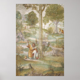 Céfalo - Bernardino Luini Cartel de Arte Fino