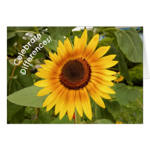 Celebra diferencias tarjeta girasol