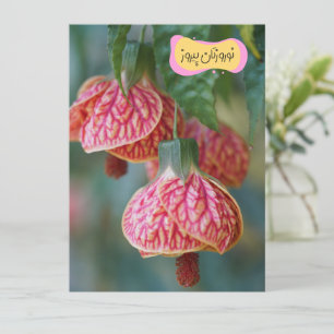 Celebra Nowruz con Tarjeta de Linterna China Roja