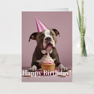 Celebración de cumpleaños de Pit Bull 