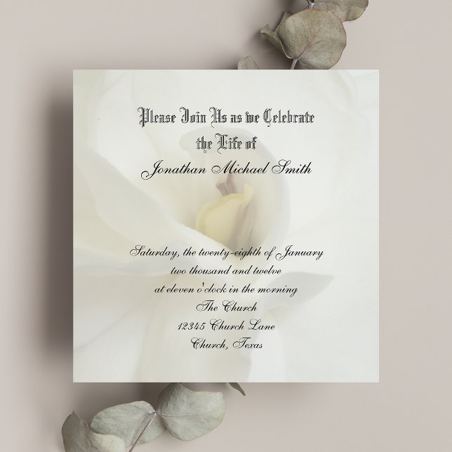 Celebración de la invitación a la vida (Subido por el creador)