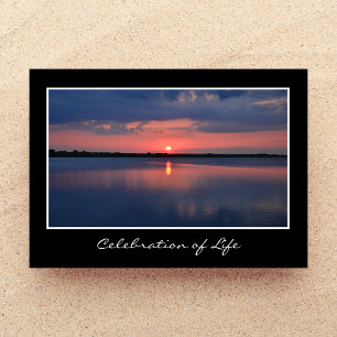 Celebración de la invitación a la vida