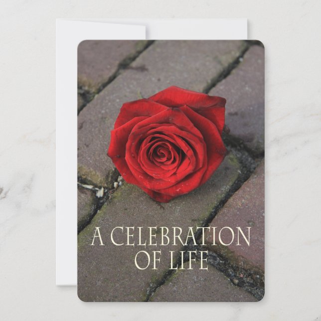 Celebración de la invitación a la vida (Anverso)