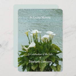 Celebración de la invitación a la vida Calla Lilie