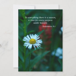 Celebración de la invitación a la vida, cita de la