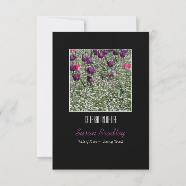 Celebración de la invitación a la vida en los tuli (Anverso)