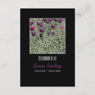 Celebración de la invitación a la vida en los tuli