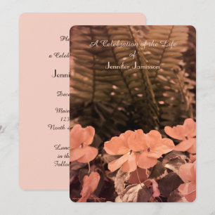 Celebración de la invitación a la vida, flores pas