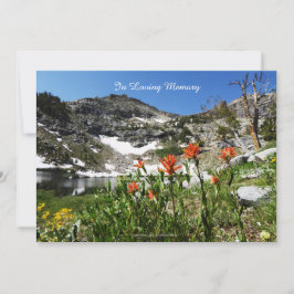 Celebración de la invitación a la vida, montañas, 