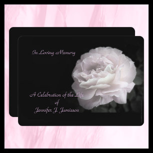 Celebración de la invitación a la vida Rosa rosa p