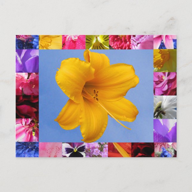 Celebración de la postal de primavera (Anverso)