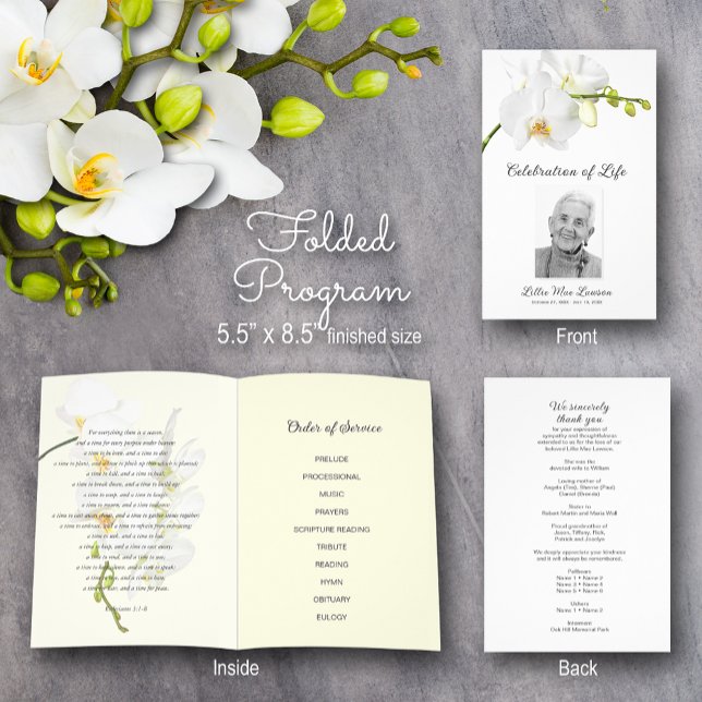 Celebración de la vida en el programa funerario Or (Orchid Celebration of Life Program - 8.5" x 11", 80 lb paper, you need to fold in half when received)