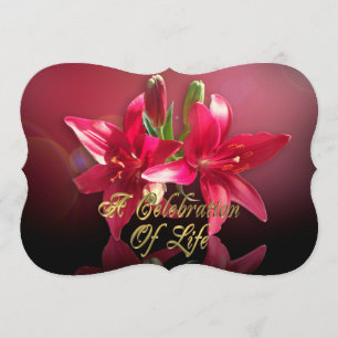 Celebración de la vida Invitación a Lily Asiática