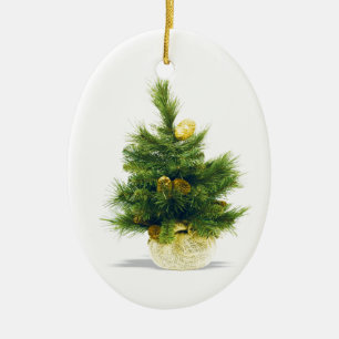 Celebración de los Ornamentos del Árbol feriado 