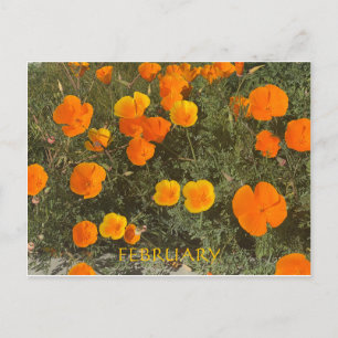 CELEBRACIÓN DEL COLOR DE CALIFORNIA: POSTAL DE FEB