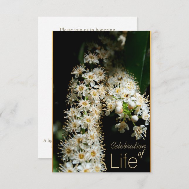 Celebración floral de la vida 3 Invitación (Anverso / Reverso)