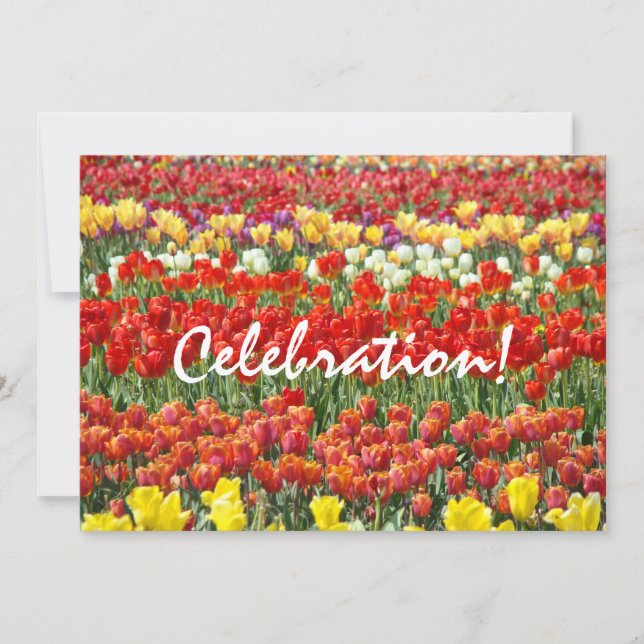 ¡Celebración! Invitaciones Fiesta de Fin de Año Tu (Anverso)