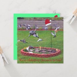 Celebramos Navidades en julio, invitan aves