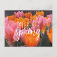 Celebrar la postal de tulipanes rosados y Naranjas