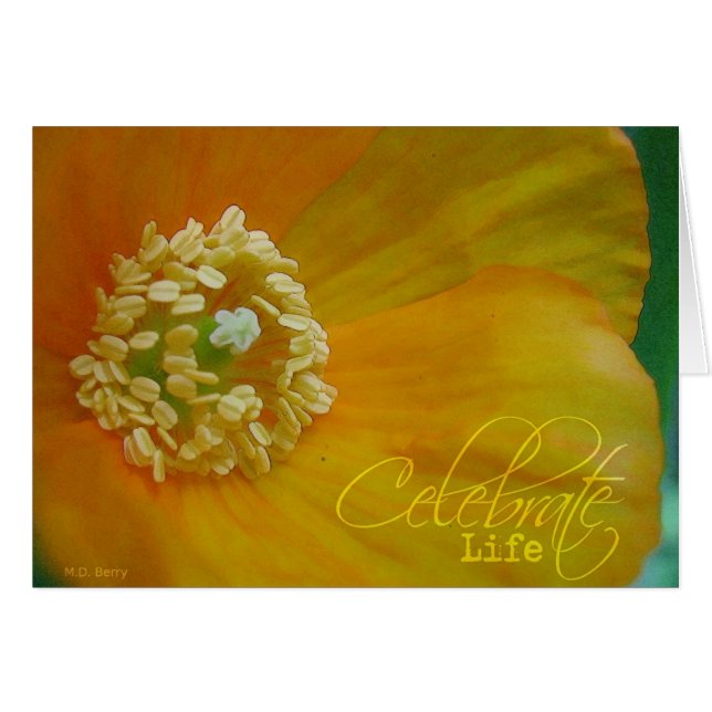 Celebrar la vida (Anverso (Horizontal))