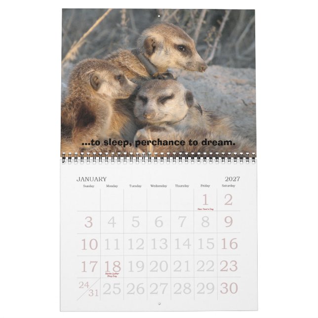 Celebrar Zaphod - Calendario (Jan 2027)